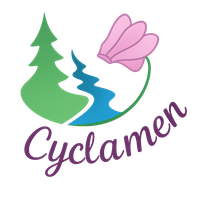 Cyclamen